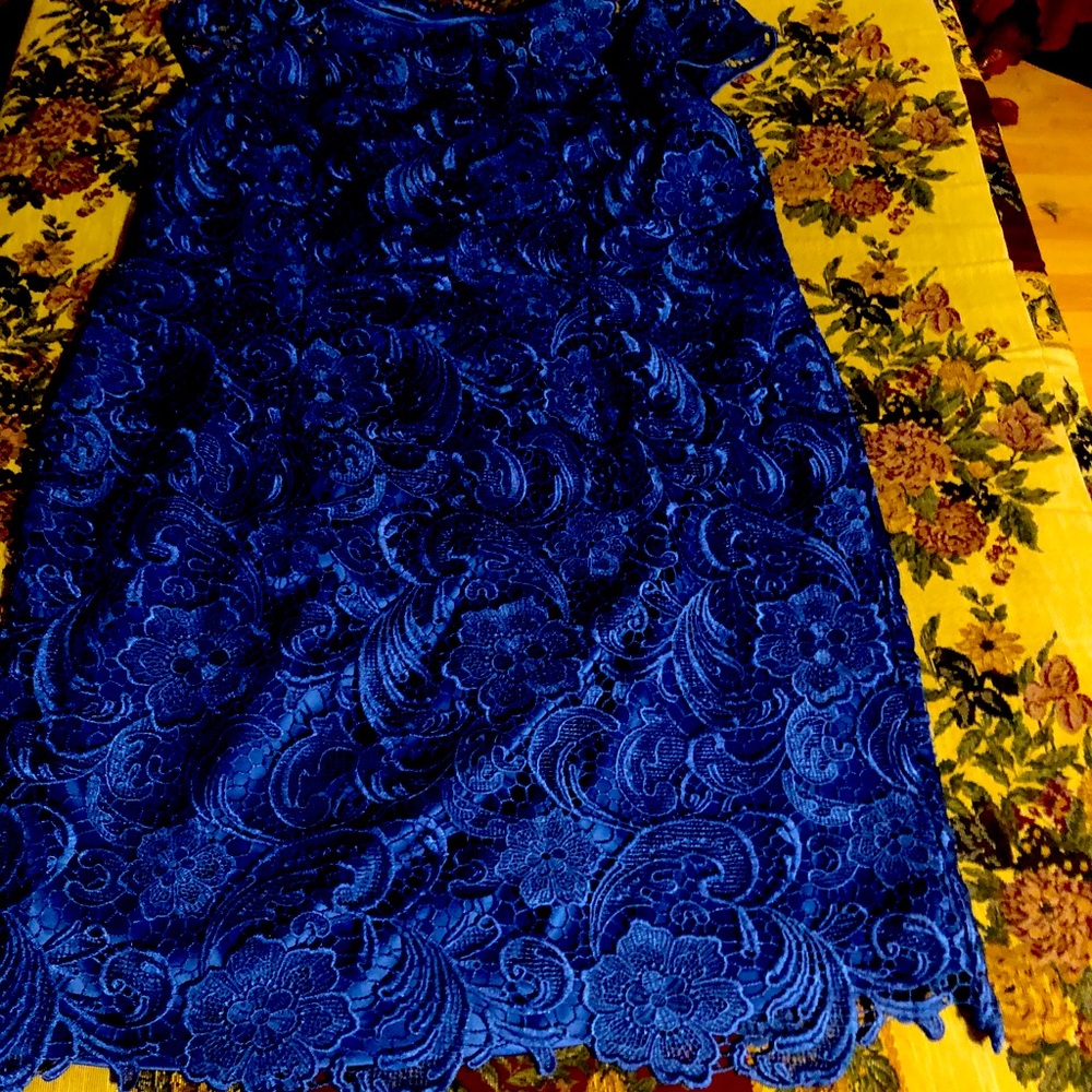 Blue lace dress NWT size 20